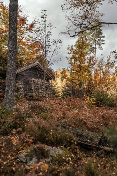 Malaskog Gamla Station Ryssby Exteriör bild